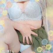 ヒメ日記 2026/03/25 11:47 投稿 しほ 熟女家 梅田店