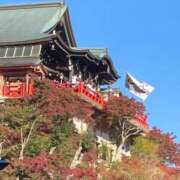 ヒメ日記 2025/11/17 09:17 投稿 さくらこ 熟女家 梅田店