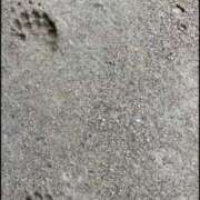 ヒメ日記 2025/11/29 14:27 投稿 さくらこ 熟女家 梅田店