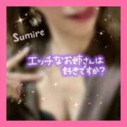 ヒメ日記 2026/04/14 11:34 投稿 水瀬すみれ 西船橋快楽Ｍ性感倶楽部～前立腺マッサージ専門～