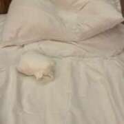 ヒメ日記 2025/02/06 12:04 投稿 新谷あきら 錦糸町快楽M性感倶楽部～前立腺マッサージ専門～