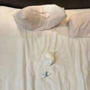 ヒメ日記 2025/11/12 16:53 投稿 新谷あきら 錦糸町快楽M性感倶楽部～前立腺マッサージ専門～