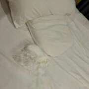 ヒメ日記 2025/07/25 16:53 投稿 新谷あきら 西船橋快楽Ｍ性感倶楽部～前立腺マッサージ専門～