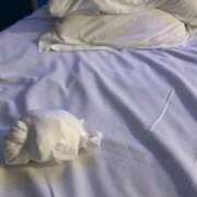 ヒメ日記 2026/04/21 12:23 投稿 新谷あきら 西船橋快楽Ｍ性感倶楽部～前立腺マッサージ専門～