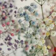 ヒメ日記 2025/12/19 21:22 投稿 むつみ 熟女の風俗最終章 宇都宮店