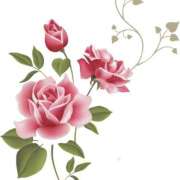 ヒメ日記 2025/12/22 22:01 投稿 むつみ 熟女の風俗最終章 宇都宮店