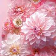 ヒメ日記 2025/12/27 07:11 投稿 むつみ 熟女の風俗最終章 宇都宮店