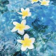 ヒメ日記 2026/01/04 16:11 投稿 むつみ 熟女の風俗最終章 宇都宮店