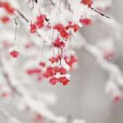 むつみ ♡ 熟女の風俗最終章 宇都宮店