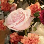 ヒメ日記 2026/01/23 18:01 投稿 むつみ 熟女の風俗最終章 宇都宮店