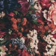 ヒメ日記 2026/01/27 07:21 投稿 むつみ 熟女の風俗最終章 宇都宮店