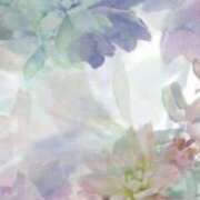 ヒメ日記 2026/01/27 19:16 投稿 むつみ 熟女の風俗最終章 宇都宮店