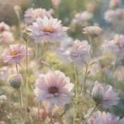 ヒメ日記 2026/01/28 19:21 投稿 むつみ 熟女の風俗最終章 宇都宮店