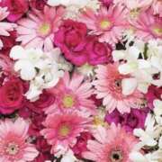 ヒメ日記 2026/01/31 07:21 投稿 むつみ 熟女の風俗最終章 宇都宮店