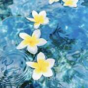 ヒメ日記 2026/01/31 18:41 投稿 むつみ 熟女の風俗最終章 宇都宮店