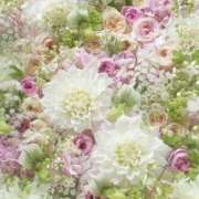 ヒメ日記 2026/02/01 07:21 投稿 むつみ 熟女の風俗最終章 宇都宮店