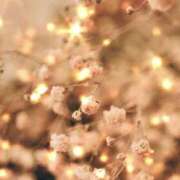 ヒメ日記 2026/02/02 17:41 投稿 むつみ 熟女の風俗最終章 宇都宮店