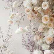 ヒメ日記 2026/02/03 07:21 投稿 むつみ 熟女の風俗最終章 宇都宮店