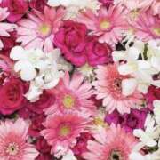 ヒメ日記 2026/02/04 20:11 投稿 むつみ 熟女の風俗最終章 宇都宮店