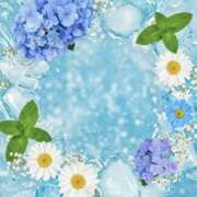 ヒメ日記 2026/02/05 16:41 投稿 むつみ 熟女の風俗最終章 宇都宮店