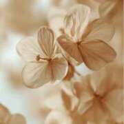 ヒメ日記 2026/02/07 15:01 投稿 むつみ 熟女の風俗最終章 宇都宮店