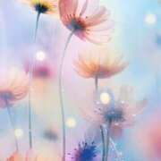 ヒメ日記 2026/02/11 20:21 投稿 むつみ 熟女の風俗最終章 宇都宮店