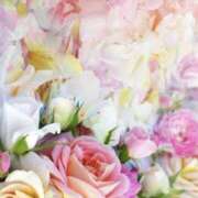 ヒメ日記 2026/02/12 19:51 投稿 むつみ 熟女の風俗最終章 宇都宮店