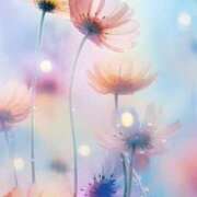 ヒメ日記 2026/02/16 22:11 投稿 むつみ 熟女の風俗最終章 宇都宮店