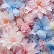 ヒメ日記 2026/02/20 18:54 投稿 むつみ 熟女の風俗最終章 宇都宮店