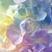 ヒメ日記 2026/02/22 16:36 投稿 むつみ 熟女の風俗最終章 宇都宮店