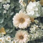 ヒメ日記 2026/02/23 16:21 投稿 むつみ 熟女の風俗最終章 宇都宮店