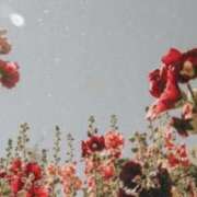 ヒメ日記 2026/02/24 16:32 投稿 むつみ 熟女の風俗最終章 宇都宮店