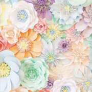 ヒメ日記 2026/02/25 21:53 投稿 むつみ 熟女の風俗最終章 宇都宮店