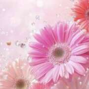 ヒメ日記 2026/02/26 07:31 投稿 むつみ 熟女の風俗最終章 宇都宮店