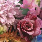 ヒメ日記 2026/02/28 16:02 投稿 むつみ 熟女の風俗最終章 宇都宮店