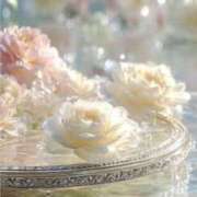 ヒメ日記 2026/03/01 07:40 投稿 むつみ 熟女の風俗最終章 宇都宮店