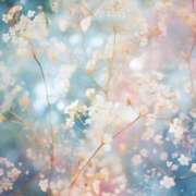 ヒメ日記 2026/03/04 17:02 投稿 むつみ 熟女の風俗最終章 宇都宮店