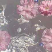 ヒメ日記 2026/03/05 20:02 投稿 むつみ 熟女の風俗最終章 宇都宮店