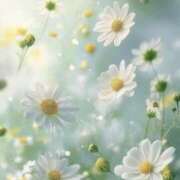 ヒメ日記 2026/03/06 21:12 投稿 むつみ 熟女の風俗最終章 宇都宮店