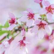 ヒメ日記 2026/03/07 07:26 投稿 むつみ 熟女の風俗最終章 宇都宮店