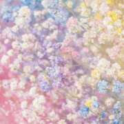 ヒメ日記 2026/03/07 22:07 投稿 むつみ 熟女の風俗最終章 宇都宮店