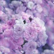 ヒメ日記 2026/03/15 07:31 投稿 むつみ 熟女の風俗最終章 宇都宮店