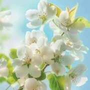 ヒメ日記 2026/03/17 07:21 投稿 むつみ 熟女の風俗最終章 宇都宮店