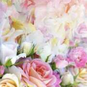 ヒメ日記 2026/03/19 15:12 投稿 むつみ 熟女の風俗最終章 宇都宮店