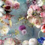 ヒメ日記 2026/03/20 16:21 投稿 むつみ 熟女の風俗最終章 宇都宮店