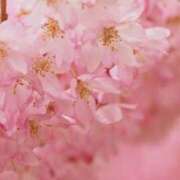 ヒメ日記 2026/03/23 07:31 投稿 むつみ 熟女の風俗最終章 宇都宮店