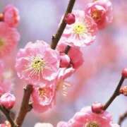 ヒメ日記 2026/03/24 06:41 投稿 むつみ 熟女の風俗最終章 宇都宮店