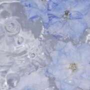 ヒメ日記 2026/03/24 20:56 投稿 むつみ 熟女の風俗最終章 宇都宮店