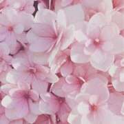 ヒメ日記 2026/03/29 13:41 投稿 むつみ 熟女の風俗最終章 宇都宮店