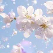 ヒメ日記 2026/04/02 17:25 投稿 むつみ 熟女の風俗最終章 宇都宮店